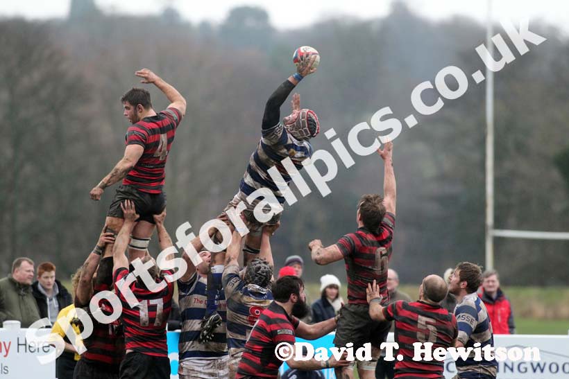 Tynedale v Blackheath. Photo: David T. Hewitson/Sports for All Pics